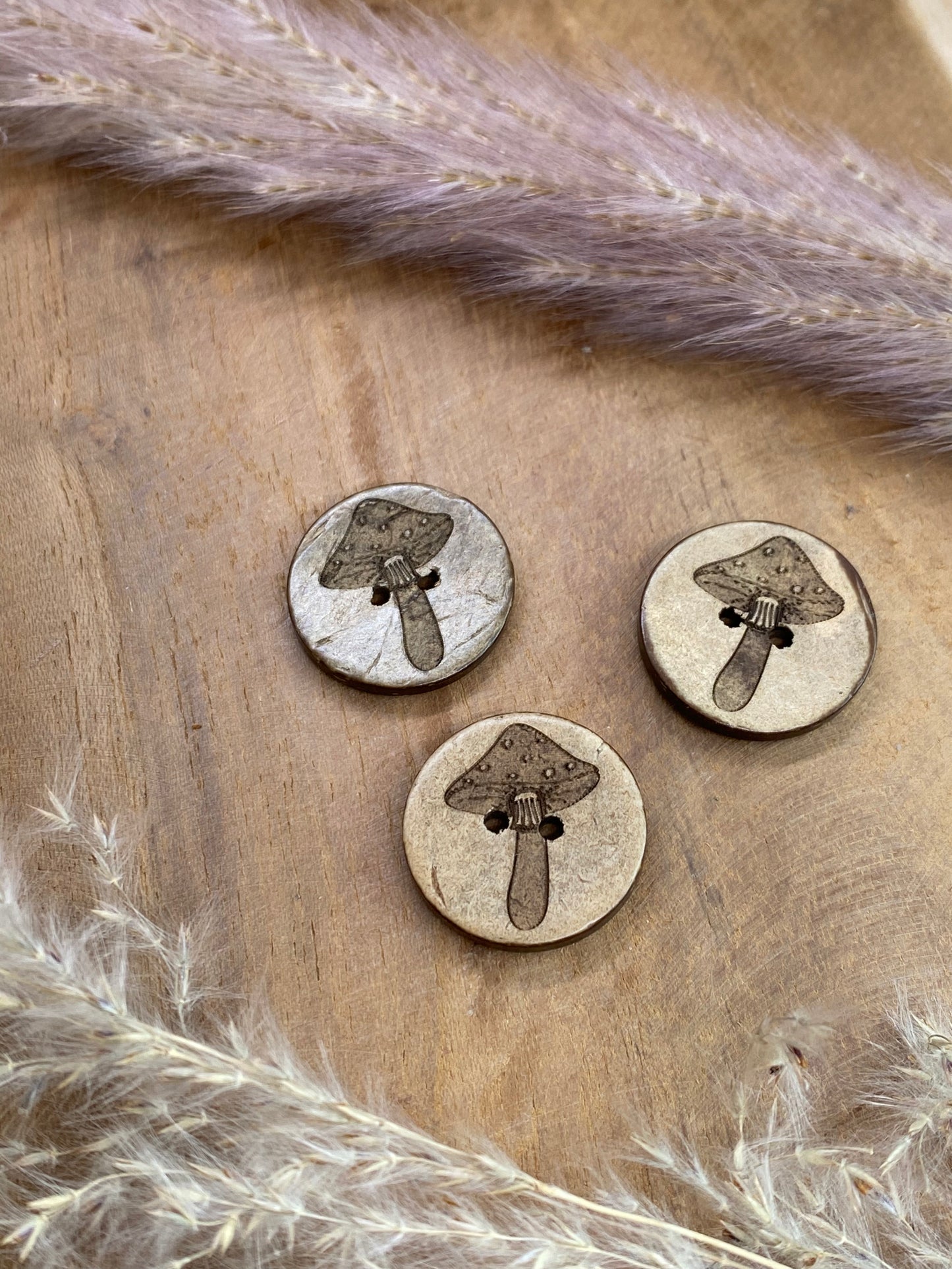 Eigenproduktion Kokosknopf Pilz 20mm