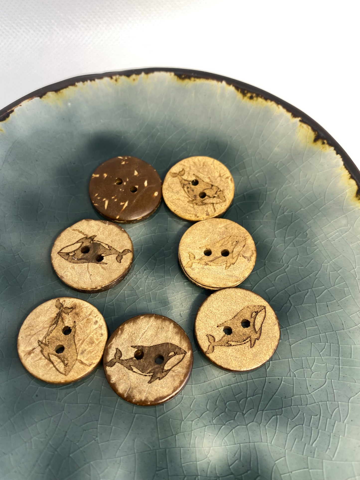 Eigenproduktion Kokosknopf Wal 20mm - Ameloua