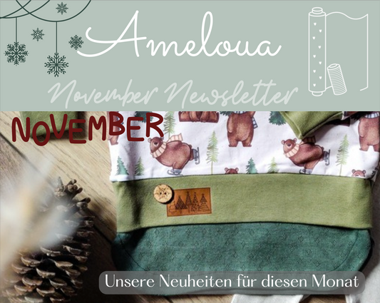 Newsletter November 2025