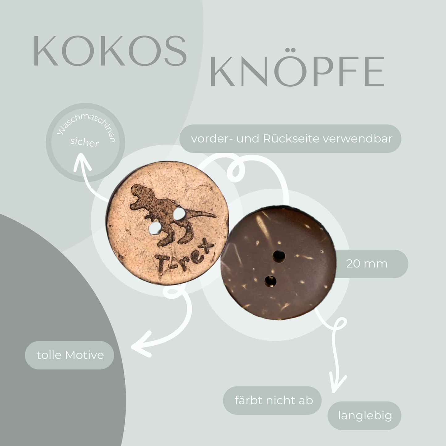 Kokosknopf T-Rex 20mm