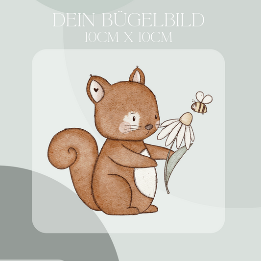 Eichhörnchen Bügelbild