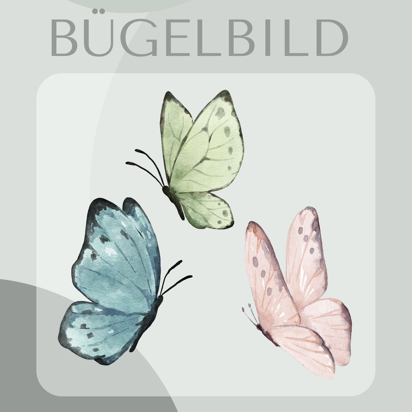 Bügelbild Schmettering