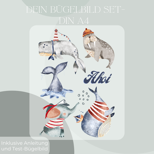 Bügelbilder: Wahl, Elefant, Robbe