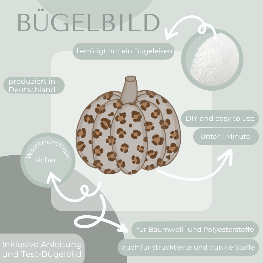 Kürbis mit Leo Motiv Bügelbild Eigenproduktion