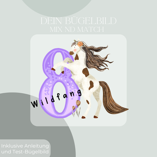Geburtstagszahl Pferd -  Bügel-Bild Bügelbild Eigenproduktion