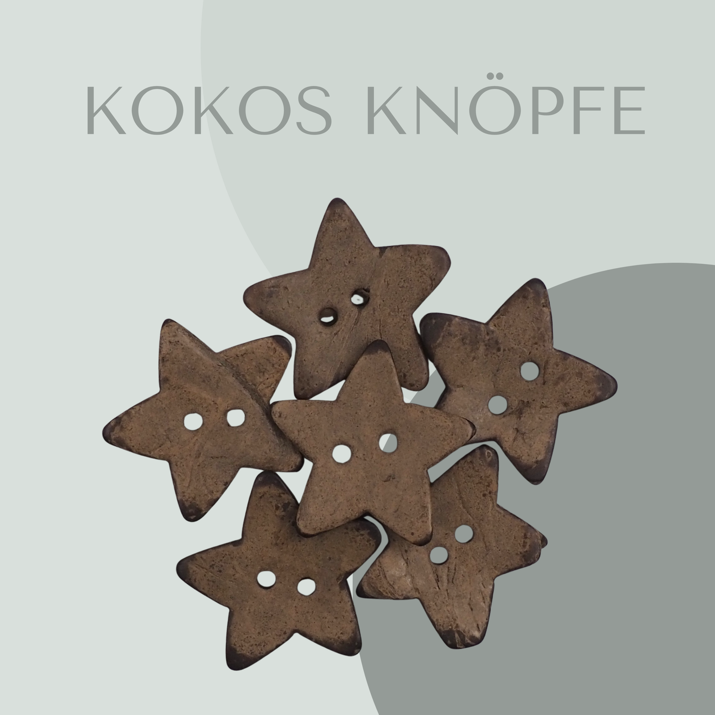 XXL Kokosknopf Stern 33 mm