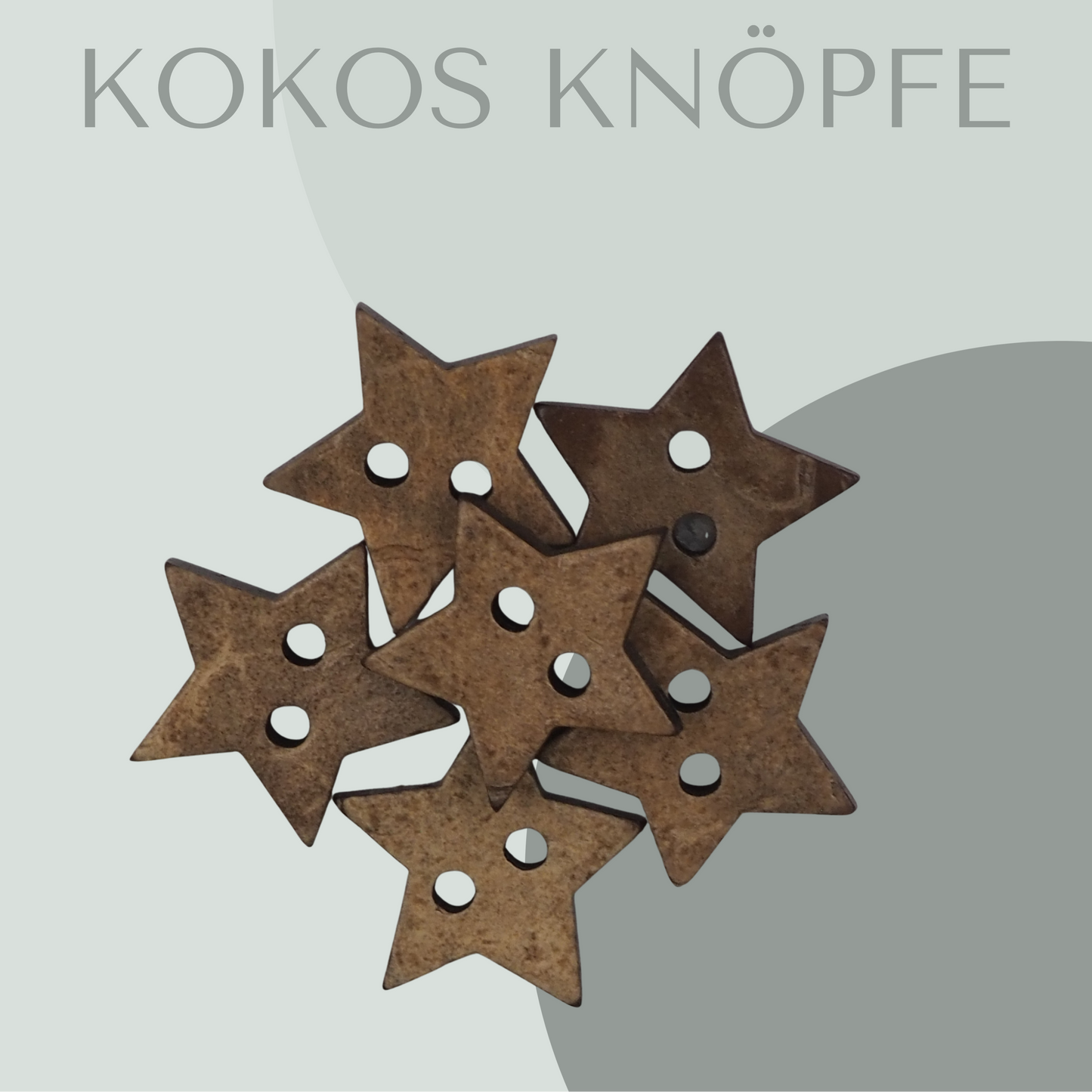 Kokosknopf Stern 15mm