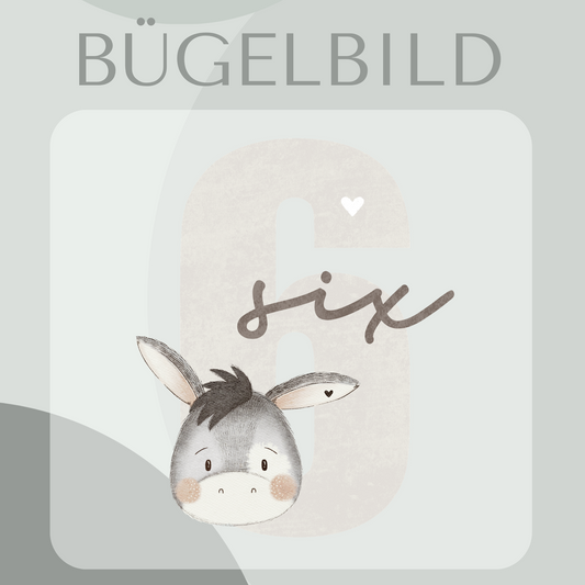 Bügelbild Geburtstagszahl 6 mit Esel
