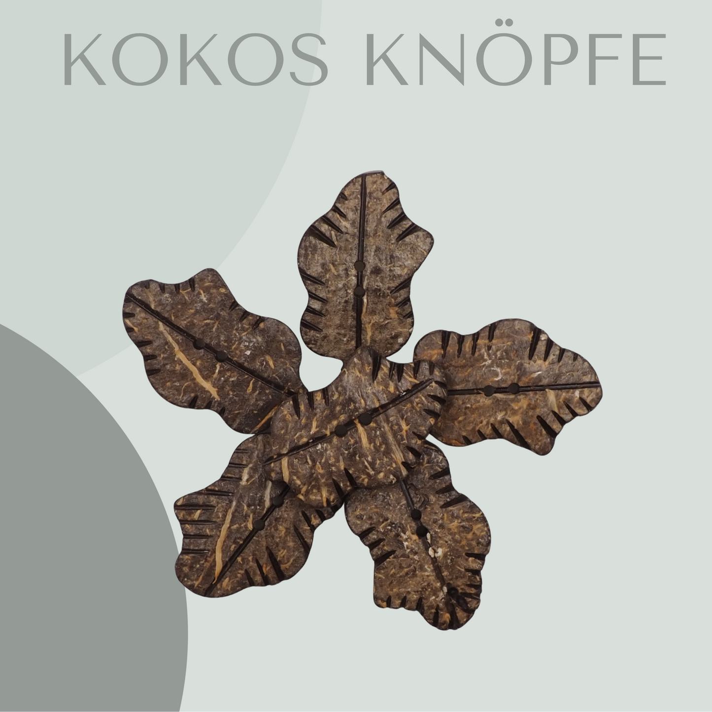 Kokosknopf Blattform 30mm