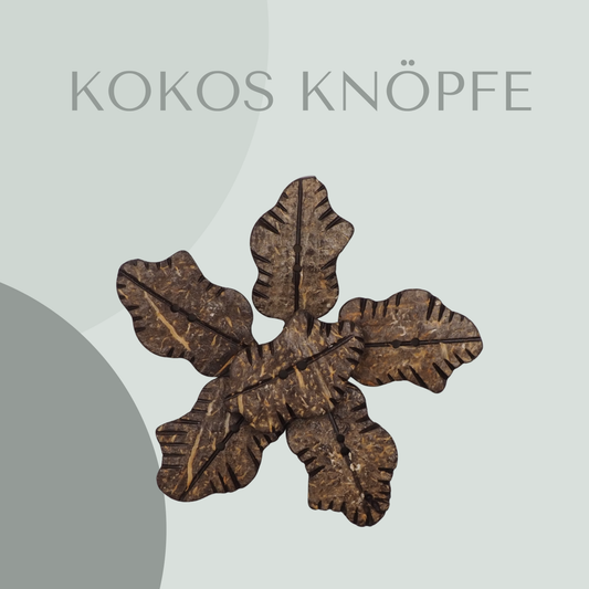Kokosknopf Blattform 30mm