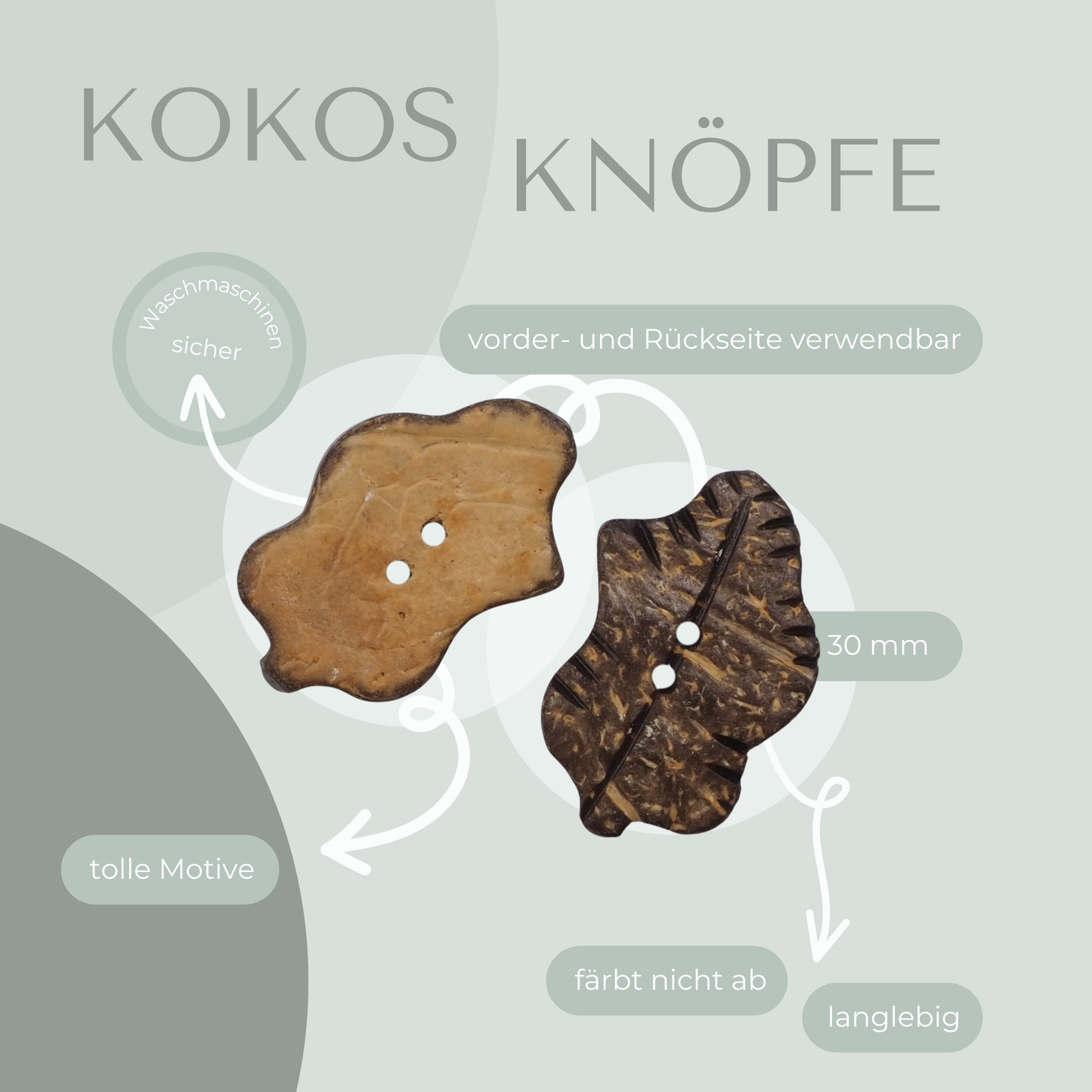 Kokosknopf Blattform 30mm