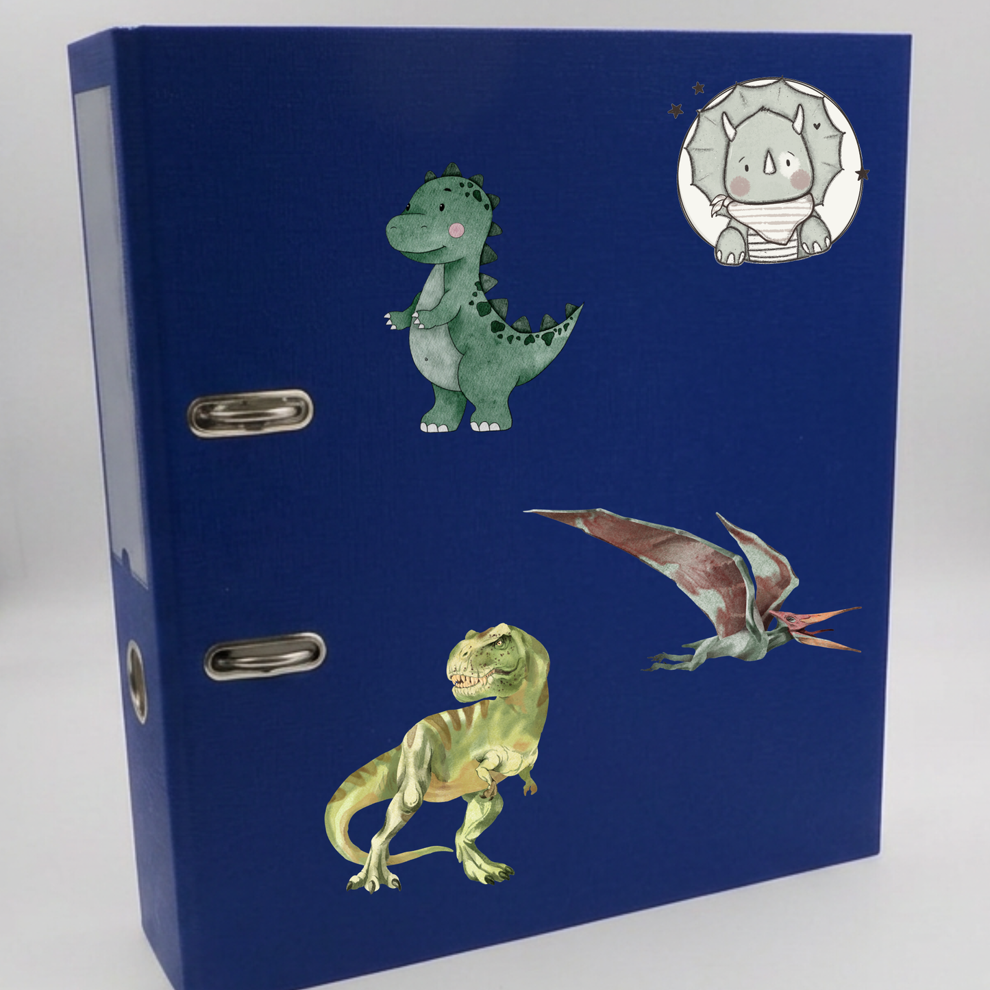 Dino Rub-On Sticker Set