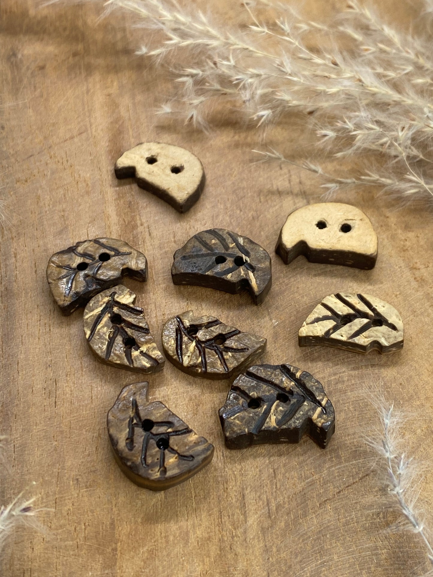 Kokosknopf Blattform 15 mm